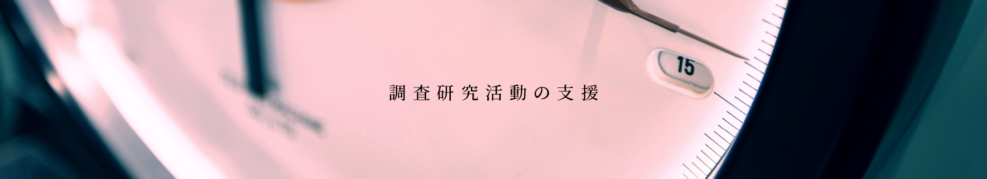 調査研究活動の支援